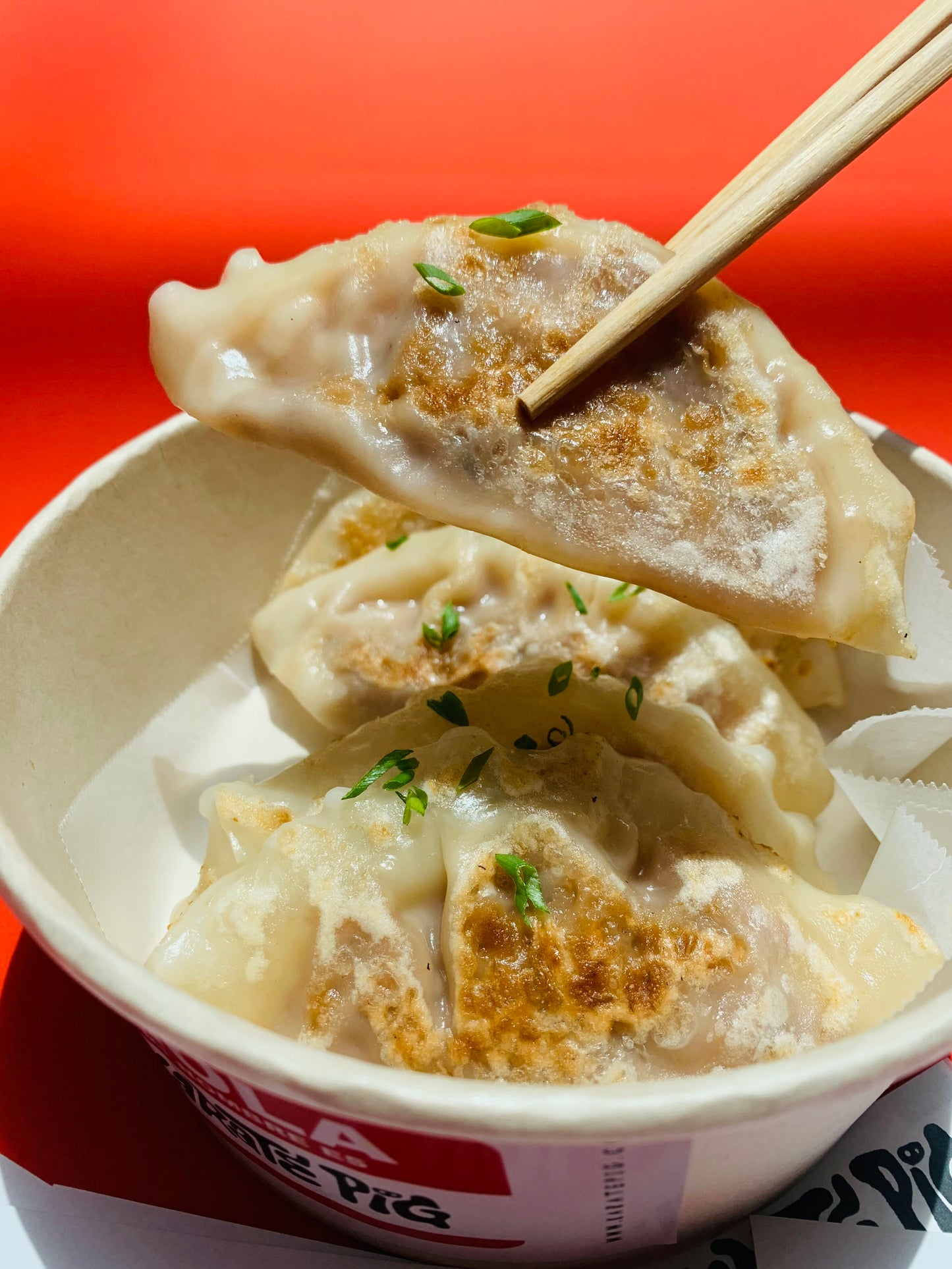 Gyozas Teriyaki