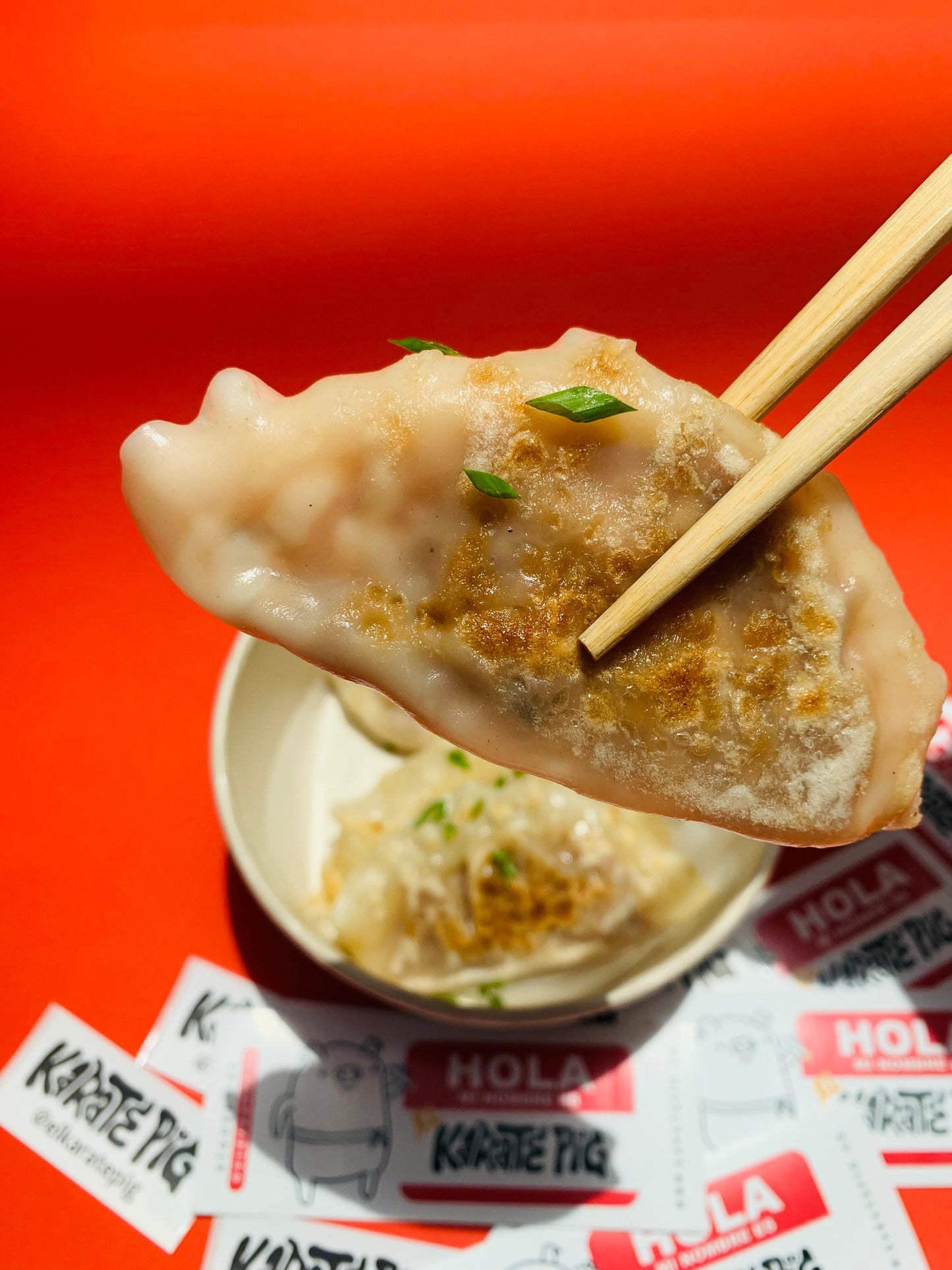 Gyozas Teriyaki